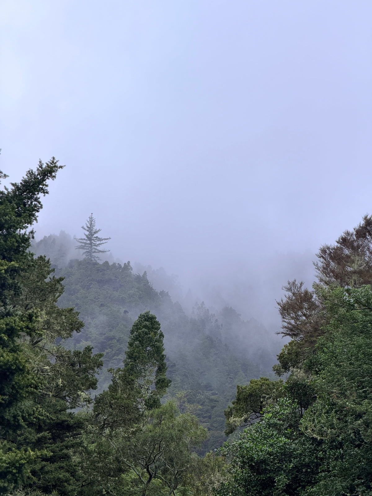 beneath moki35 is a 20 million year old volcanic story
