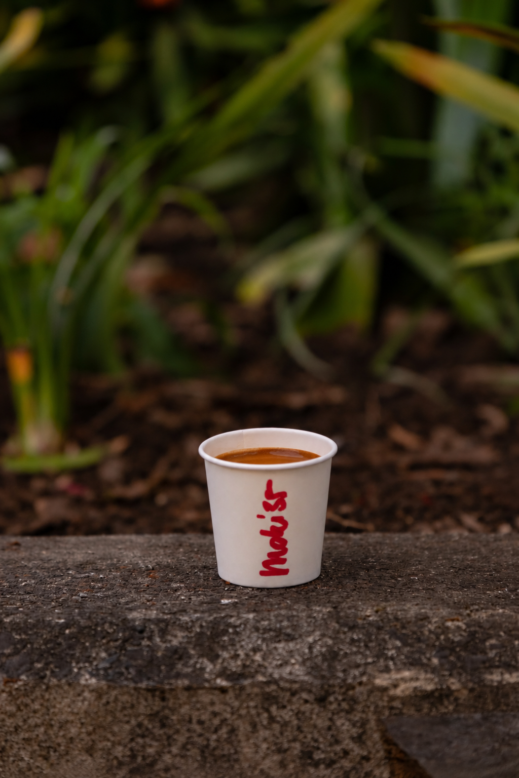 espresso