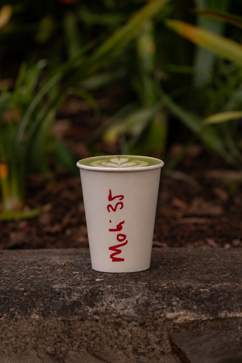 matcha hot