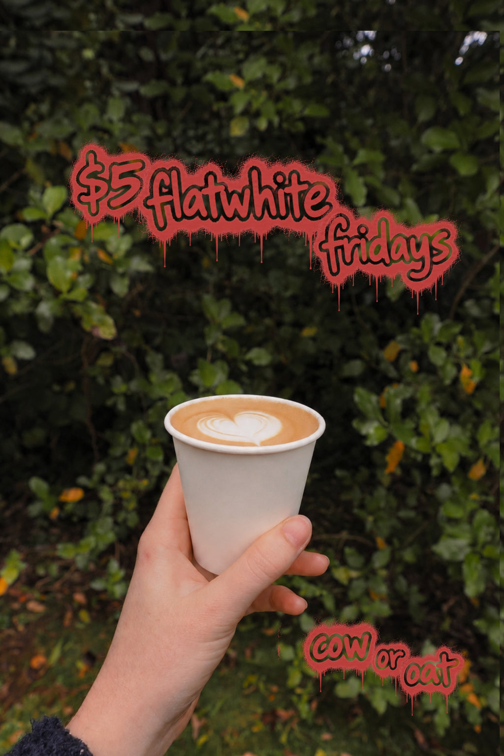 5$—flat—white—friday
